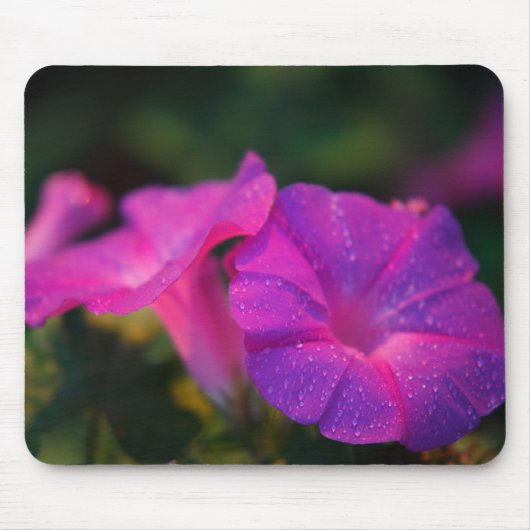 Tapis De Souris Gloire de matin Mousepad (Devant)