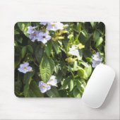 Tapis De Souris Glorieuses du Matin Délicates (Avec souris)