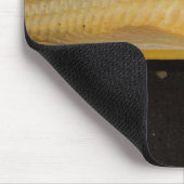 Tapis De Souris Glyptoperichthys gibbiceps (Coin)