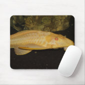 Tapis De Souris Glyptoperichthys gibbiceps (Avec souris)