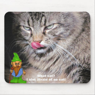 Tapis De Souris Gnome ou Chats en vue ?