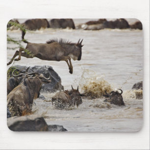 Tapis De Souris Gnou sautant dans la rivière Mara