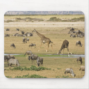 Tapis De Souris Gnous, Zèbres et Girafes