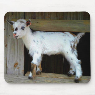 Tapis De Souris Goat laitier nain nigérian coloré