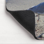 Tapis De Souris Goéland (Coin)