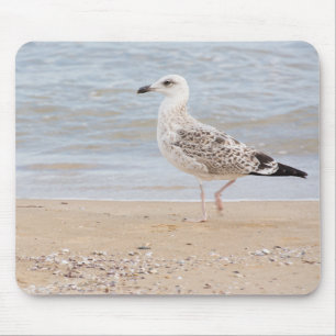 Tapis De Souris Goéland