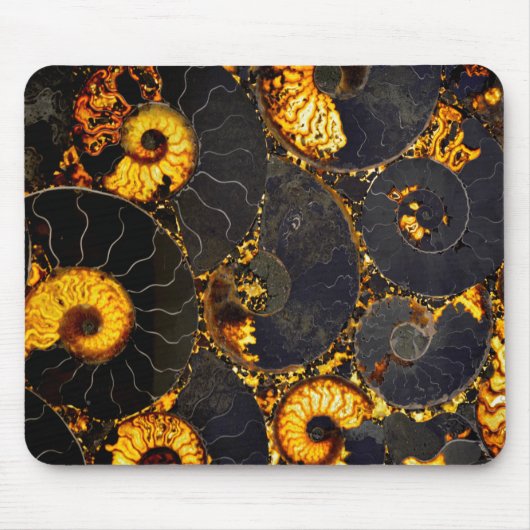Tapis De Souris Golden Amber black Nautilus shell pattern, fossil (Devant)