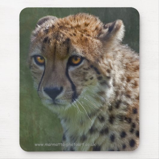 Tapis de souris Golden Cheetah (Devant)