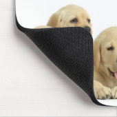Tapis De Souris Golden Labrador Pupile (Coin)