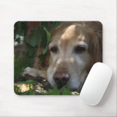 Tapis De Souris Golden retriever (Avec souris)