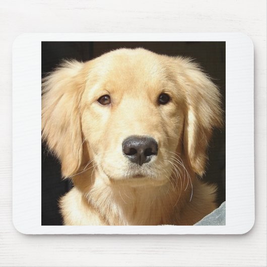 Tapis De Souris Golden Retriever (Devant)