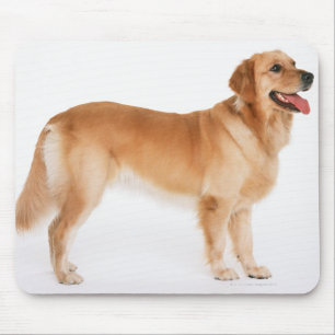 Tapis De Souris Golden retriever