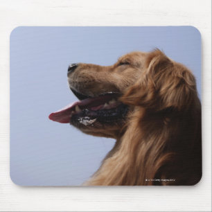 Tapis De Souris Golden Retriever 6