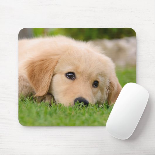 Tapis De Souris Golden Retriever Chien mignon Chiot Rêvant, (Avec souris)