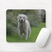 Tapis De Souris Golden retriever courant 2 (Avec souris)