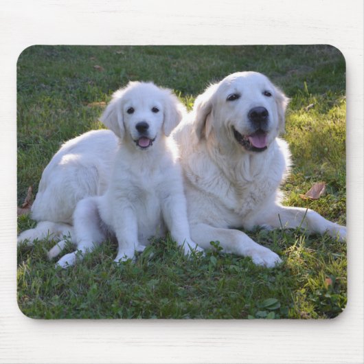 Tapis De Souris Golden Retriever maman et chiot (Devant)