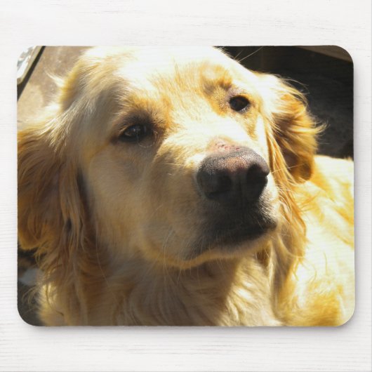 Tapis De Souris Golden retriever Mousepad (Devant)