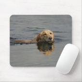 Tapis De Souris Golden retriever nageant (Avec souris)