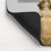 Tapis De Souris Golden Retriever Stars at Tennis Ball Art Piece (Coin)