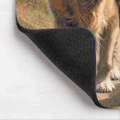Tapis De Souris Golden Retrievers Walking on a Country Road (Coin)