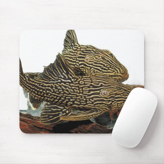 Tapis De Souris Golden Royal Plecoのマウスパッド (Avec souris)