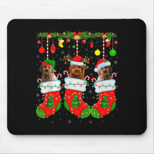 Tapis De Souris Goldendoodle en chaussettes de Noël Chien drôle d'