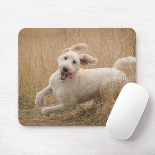 Tapis De Souris Goldendoodle Runs Through Grass (Avec souris)