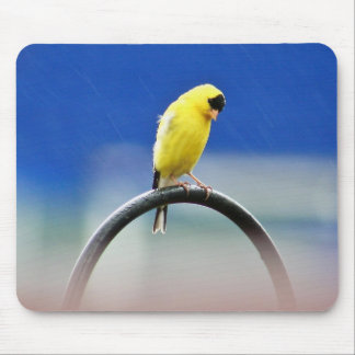 Tapis De Souris Goldfinch Mousepad