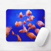 Tapis De Souris Goldfish 2 (Avec souris)