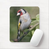 Tapis de souris Goldie (Avec souris)