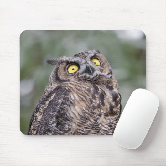 Tapis De Souris Goofy Owl Mousepad (Avec souris)