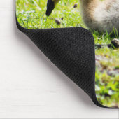 Tapis De Souris Goose Gosling Canada (Coin)