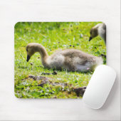 Tapis De Souris Goose Gosling Canada (Avec souris)