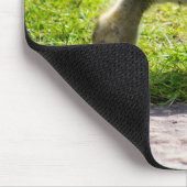 Tapis De Souris Goose Gosling Canada (Coin)