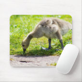Tapis De Souris Goose Gosling Canada (Avec souris)