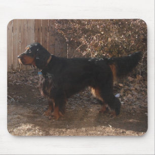 Tapis De Souris Gordon Setter Mousepad