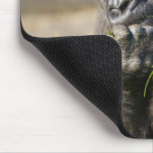 Tapis De Souris Gorilla Youngster (Coin)
