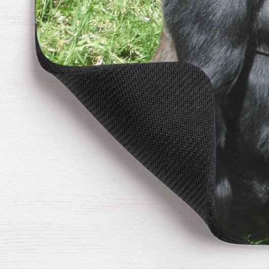 TAPIS DE SOURIS GORILLE (Coin)