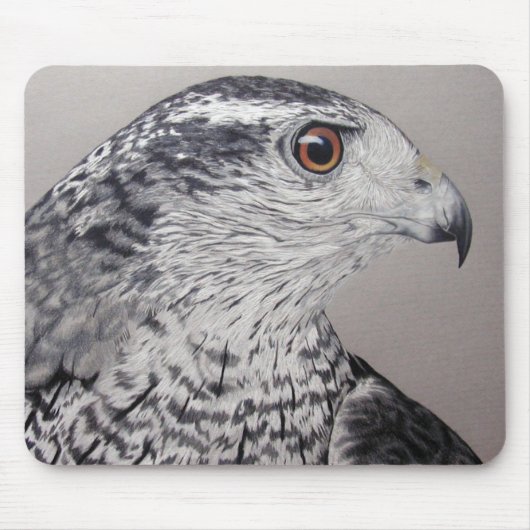 Tapis De Souris Goshawk du Nord (Devant)