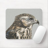 Tapis De Souris Goshawk immature (Avec souris)