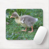 Tapis De Souris Gosling (Avec souris)