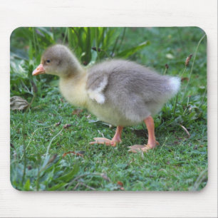 Tapis De Souris Gosling