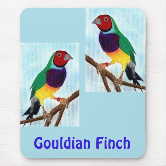 Tapis De Souris ~ Gouldian Finch ~ Art original ~ Pad souris (Devant)