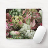 Tapis De Souris Goût des tropiques (Avec souris)