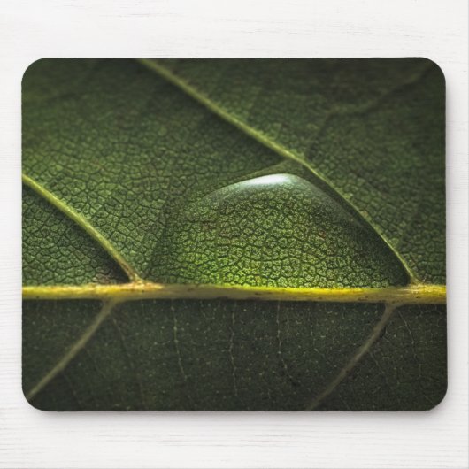 Tapis De Souris Gouttelettes de feuille (Devant)