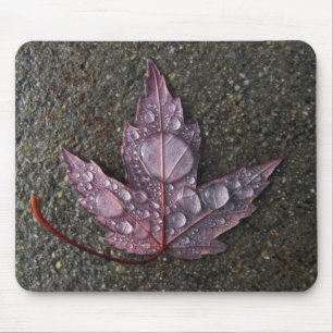 Tapis De Souris Gouttes de pluie sur la feuille