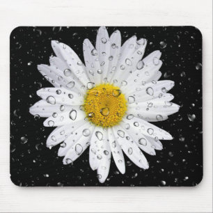 Tapis De Souris gouttes de pluie sur marguerite blanche