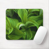 Tapis De Souris Gouttes de rosée sur un Helabore faux (Avec souris)