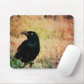 Tapis De Souris Grackle Bird (Avec souris)