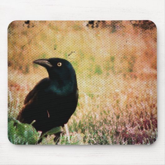 Tapis De Souris Grackle Bird (Devant)